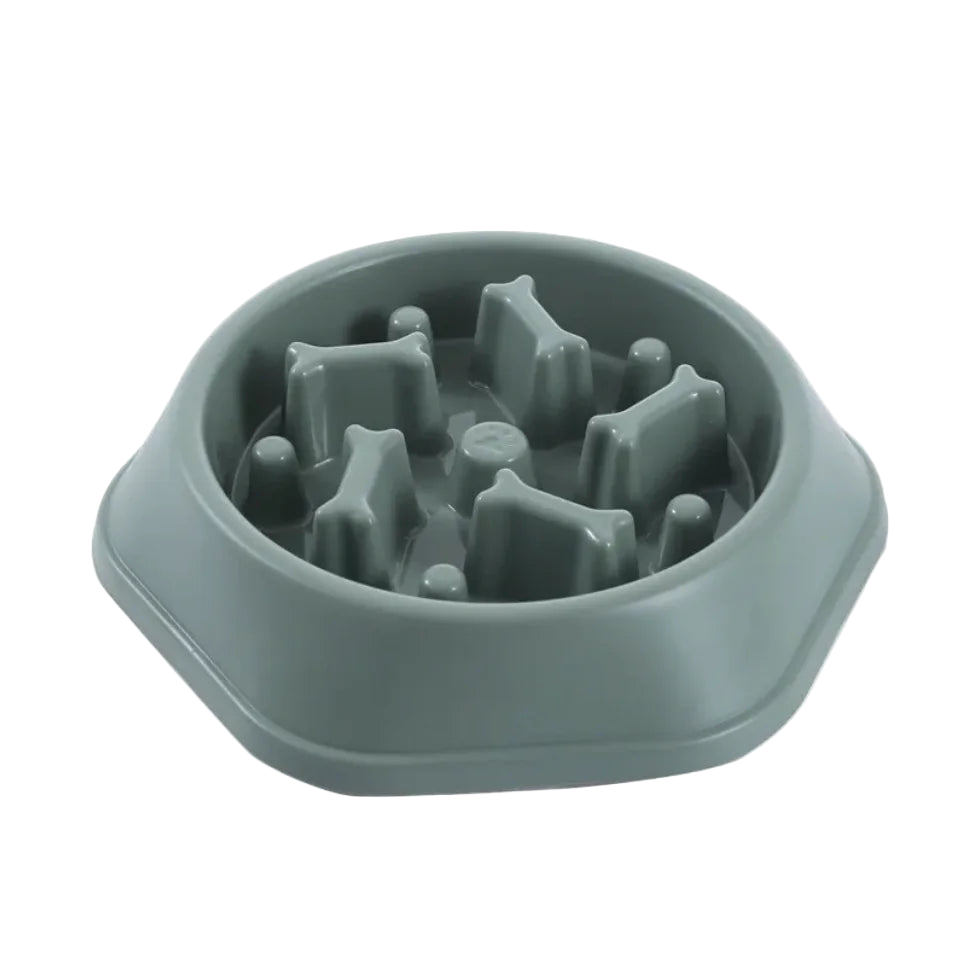 Slow Feeder Dog Bowl